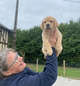 Hondeninstructrice Fabienne houdt de puppy hoog in de lucht en toont ze trots naar de camera.